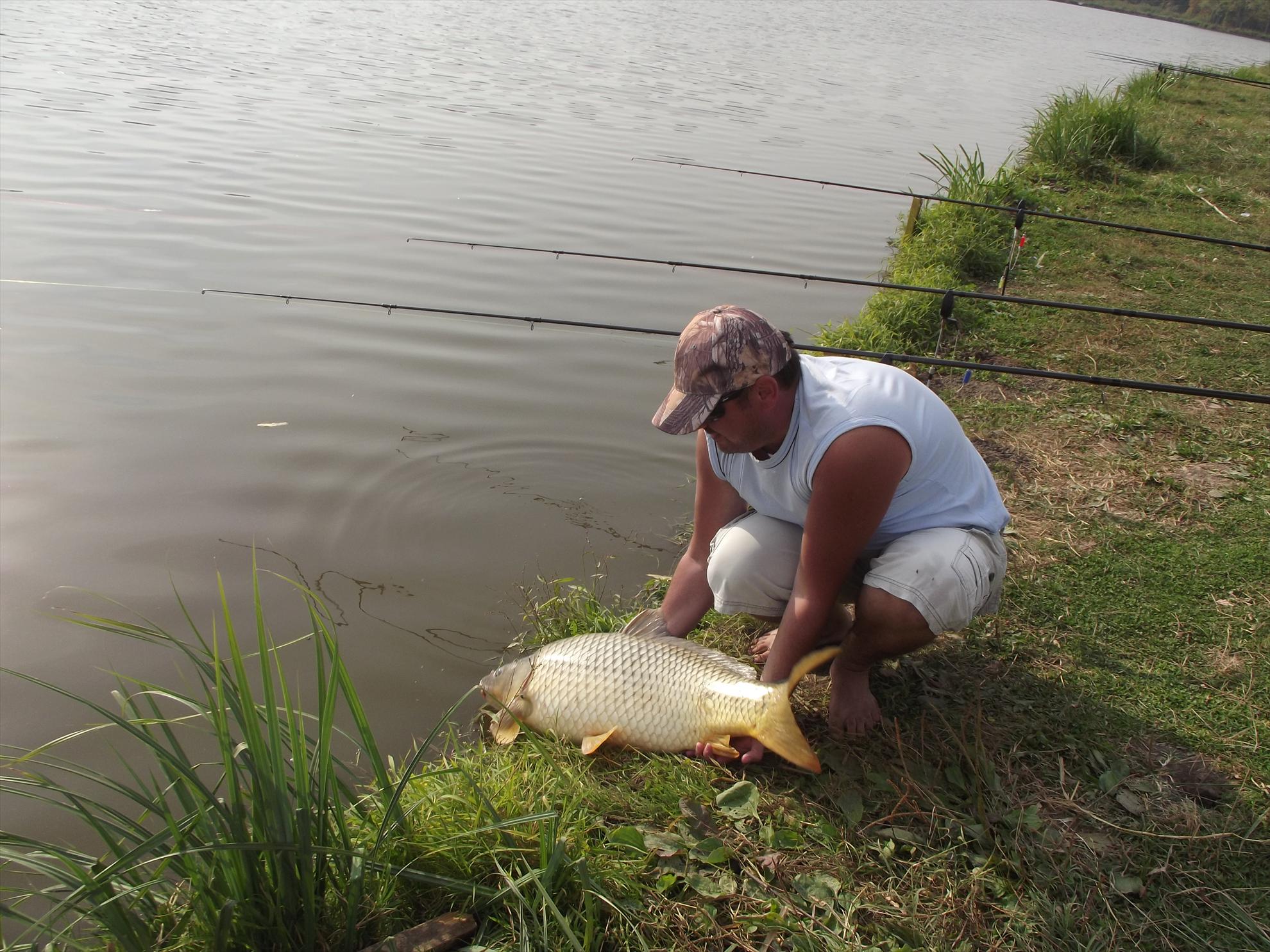 M.Vlasiei 2011 - dscf0464.JPG